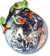 treefrog sitting on the world