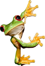 Treefrog